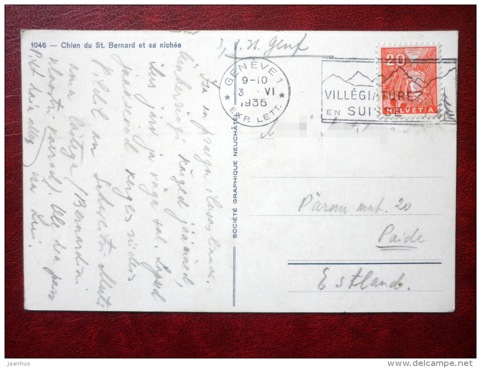 Chien du St. Bernard et sa nichee 1046 - dogs - sent from Switzerland to Estonia in 1936 - used - JH Postcards
