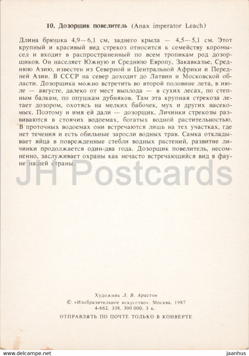 Anax imperator - Die Kaiserlibelle - Libelle - Insekten - Illustration - 1987 - Russland UdSSR - unbenutzt