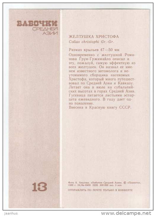 Colias christophi - butterfly - Central Asia butterflies - 1989 - Russia USSR - unused - JH Postcards