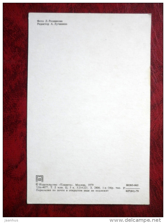 Birthday Greeting Card - red roses - flowers - 1979 - Russia - USSR - unused - JH Postcards