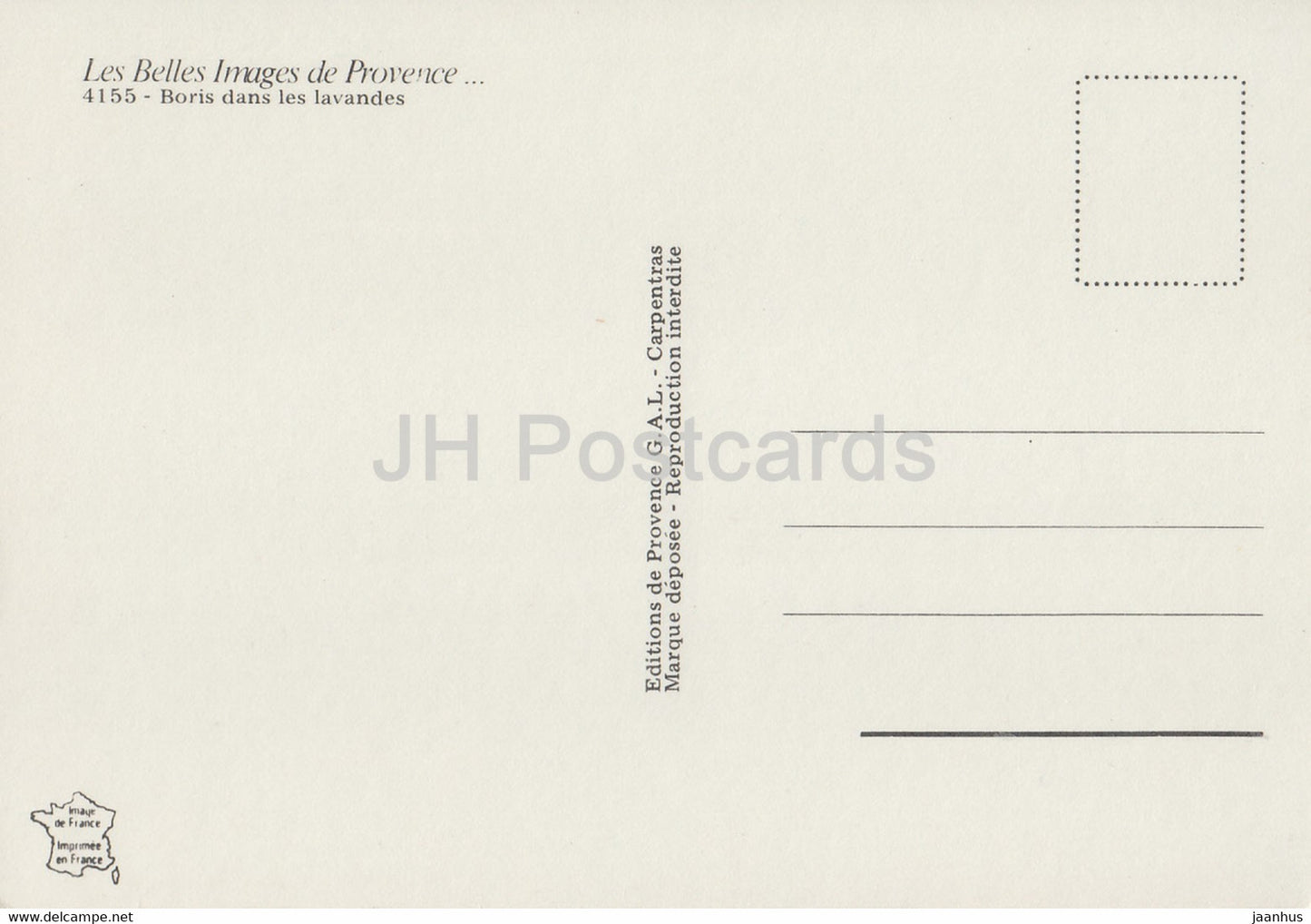 Boris dans les lavandes - Les Belles Images de Provence - 4155 - France - unused