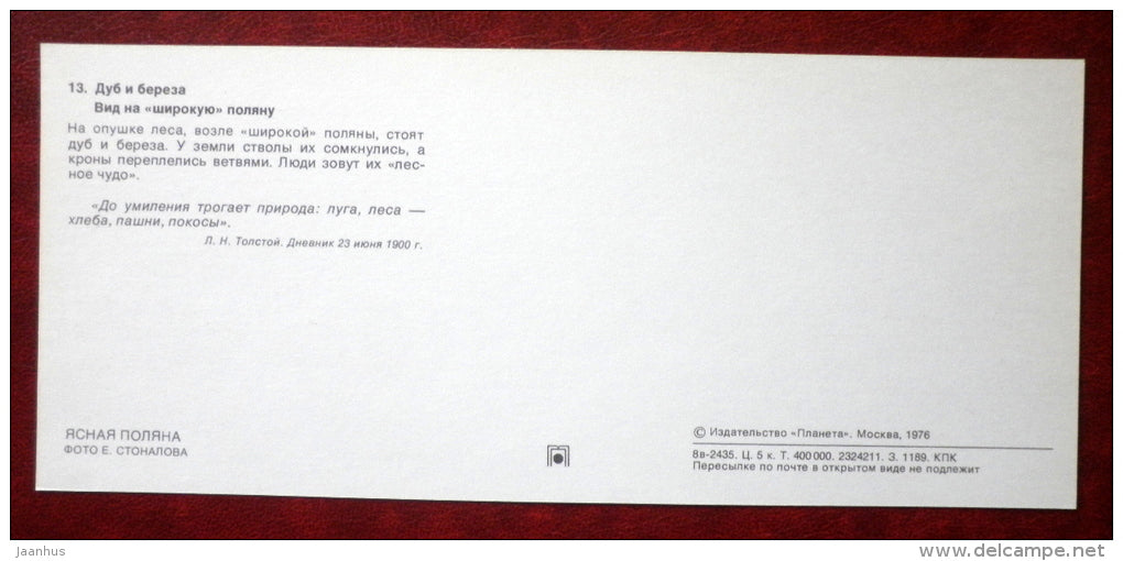 oak and birch trees - Museum-Estate of Leo Tolstoy - 1976 - Russia USSR - unused - JH Postcards