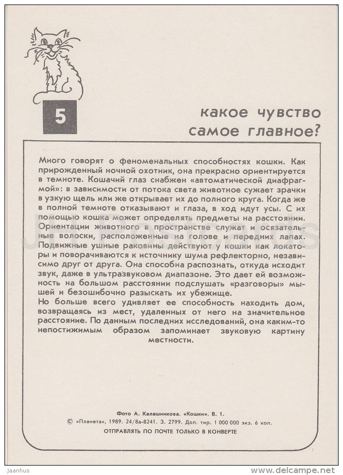 Persian Blue Cat - cats - Russia USSR - 1989 - unused - JH Postcards