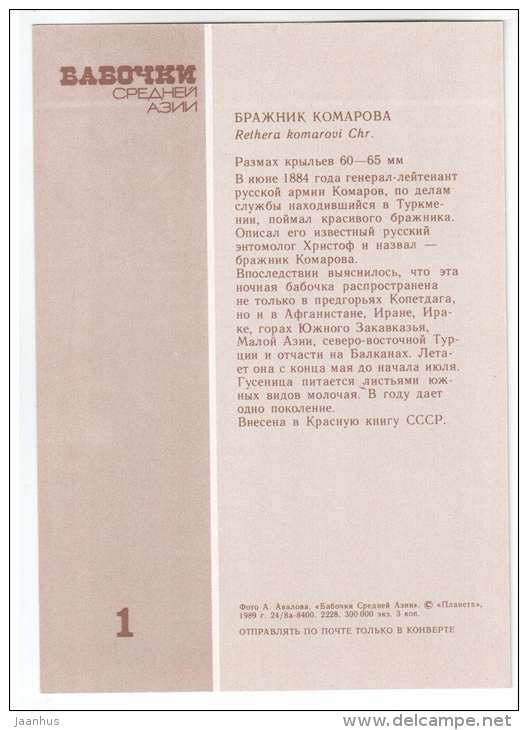 Rethera komarovi - butterfly - Central Asia butterflies - 1989 - Russia USSR - unused - JH Postcards