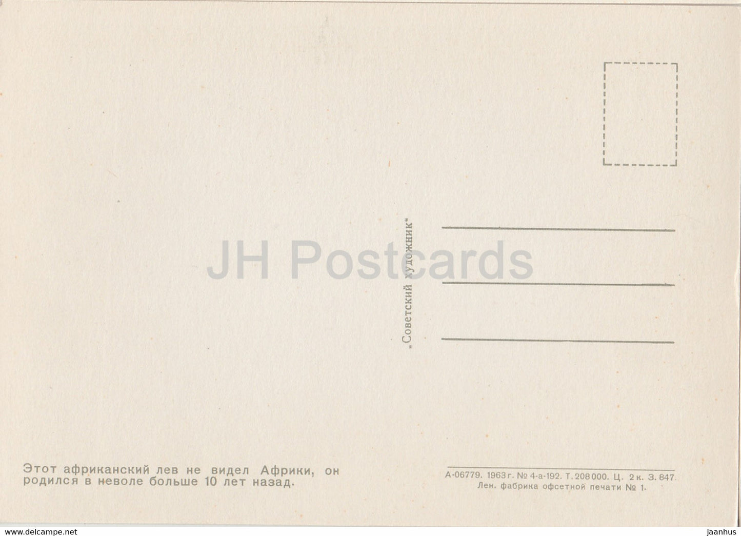 Lion - Moscow Zoo - 1963 - Russia USSR - unused