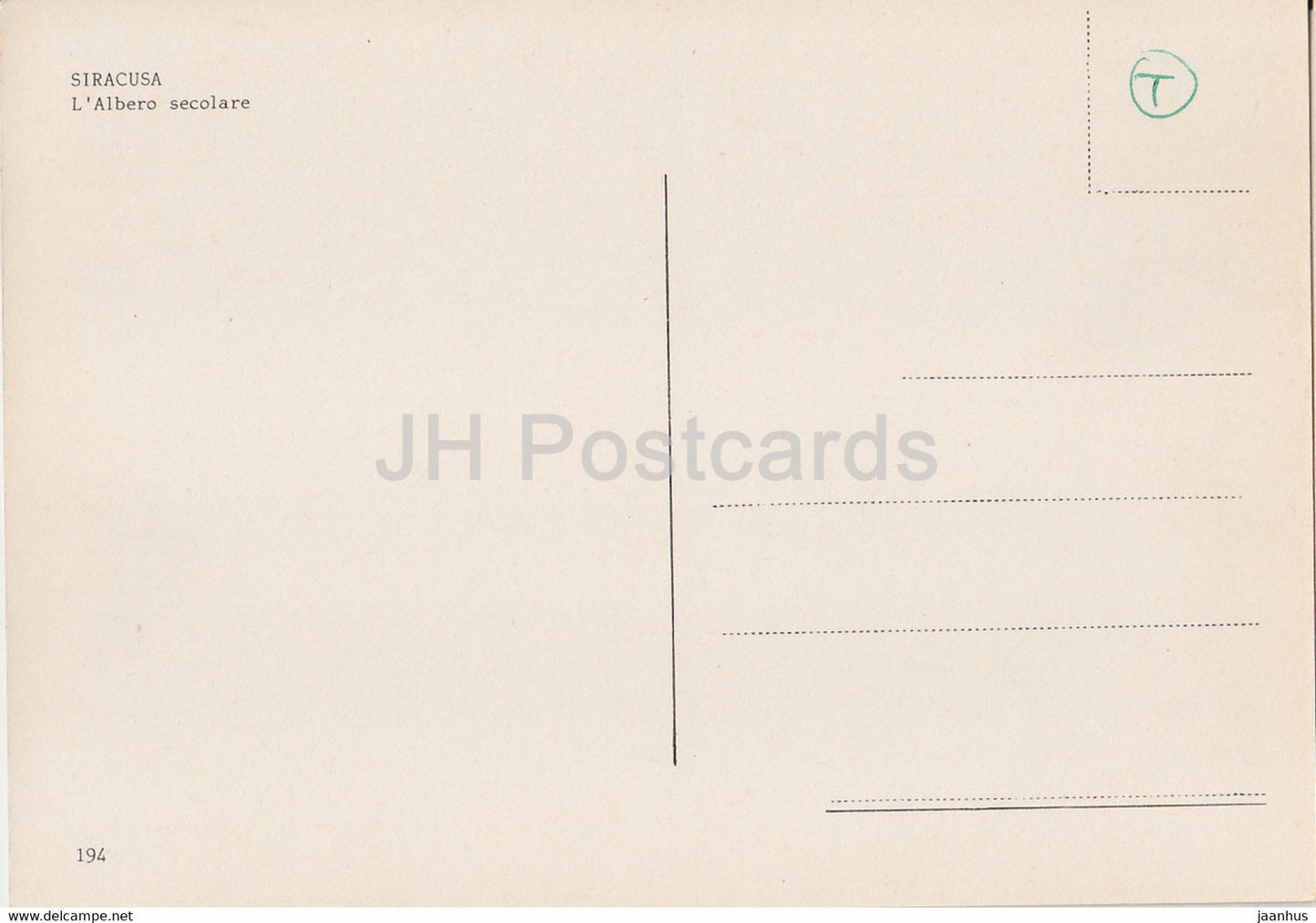 Siracusa - L'Albero secolare - The Secular Tree - 194 - Italy - unused