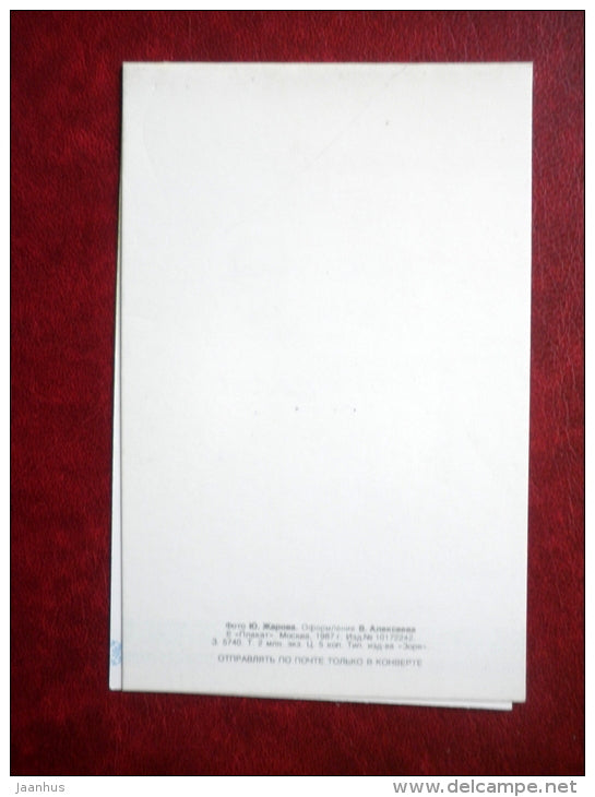 New Year greeting card - pine branches - 1987 - Russia USSR - used - JH Postcards