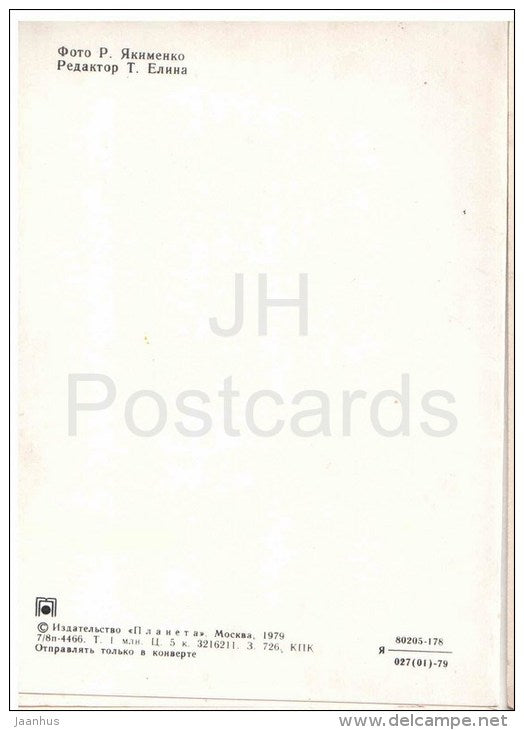 New Year Greeting card - crow - birds - clock - decorations - 1979 - Russia USSR - used - JH Postcards