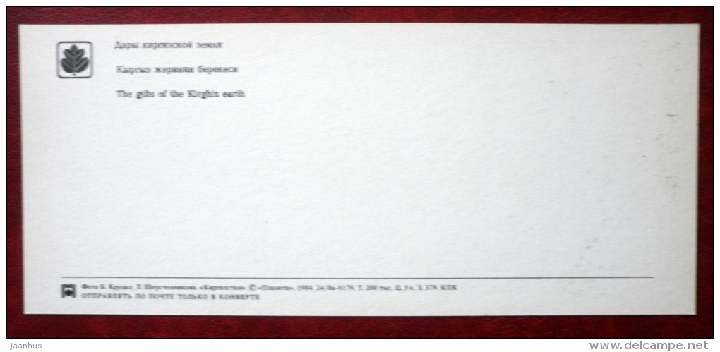 The gifts of the Kyrgystan earth - fruits - apple - watermelon - grape - pears - 1984 - Kyrgystan USSR - unused - JH Postcards