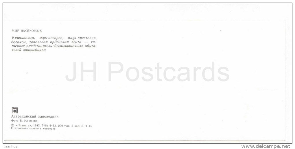 Small tortoiseshell - beetle - butterfly - spider - insects - Astrakhan Nature Reserv - 1983 - Russia USSR - unused - JH Postcards
