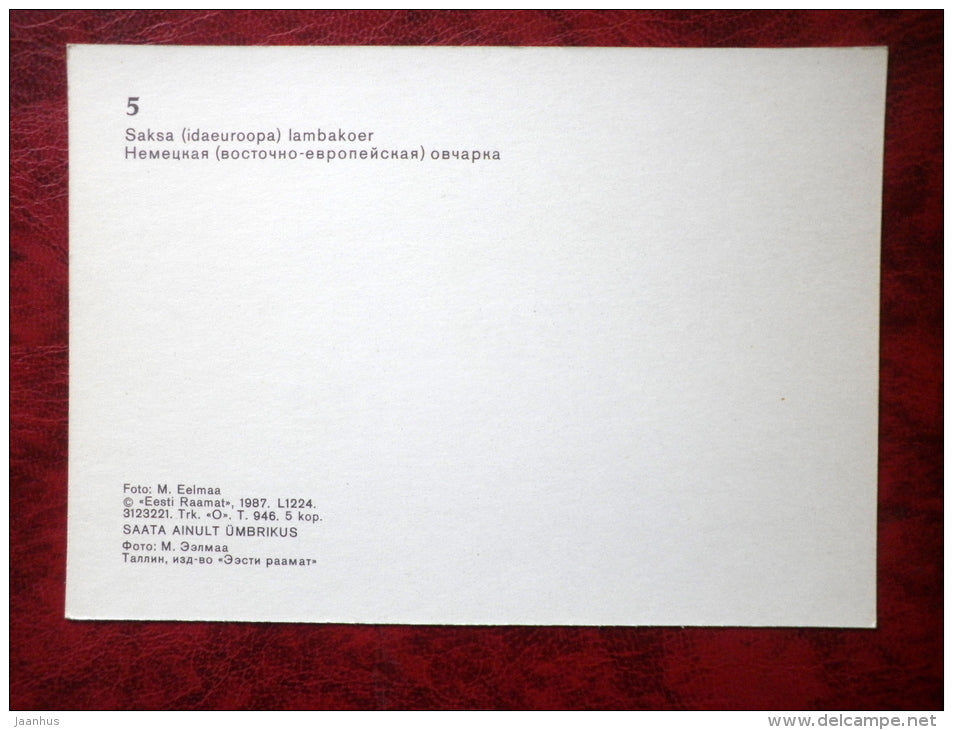 German Shepherd Dog 2 - dogs - 1987 - Estonia - USSR - unused - JH Postcards