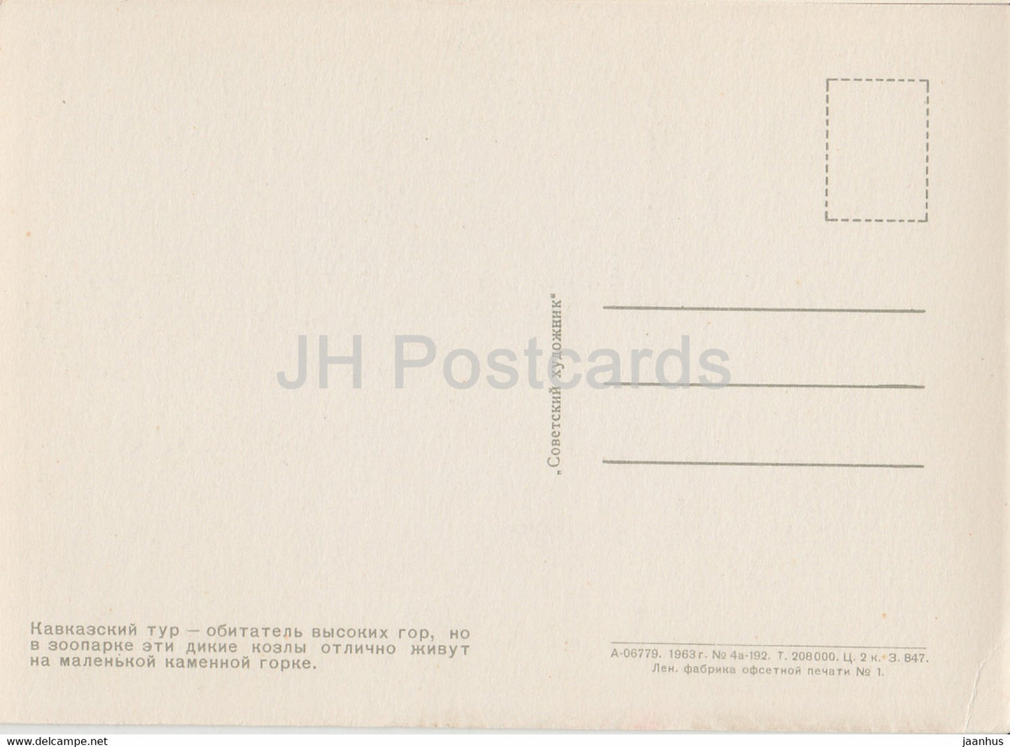 Westkaukasische Tur - Capra caucasica - Moskauer Zoo - 1963 - Russland UdSSR - unbenutzt