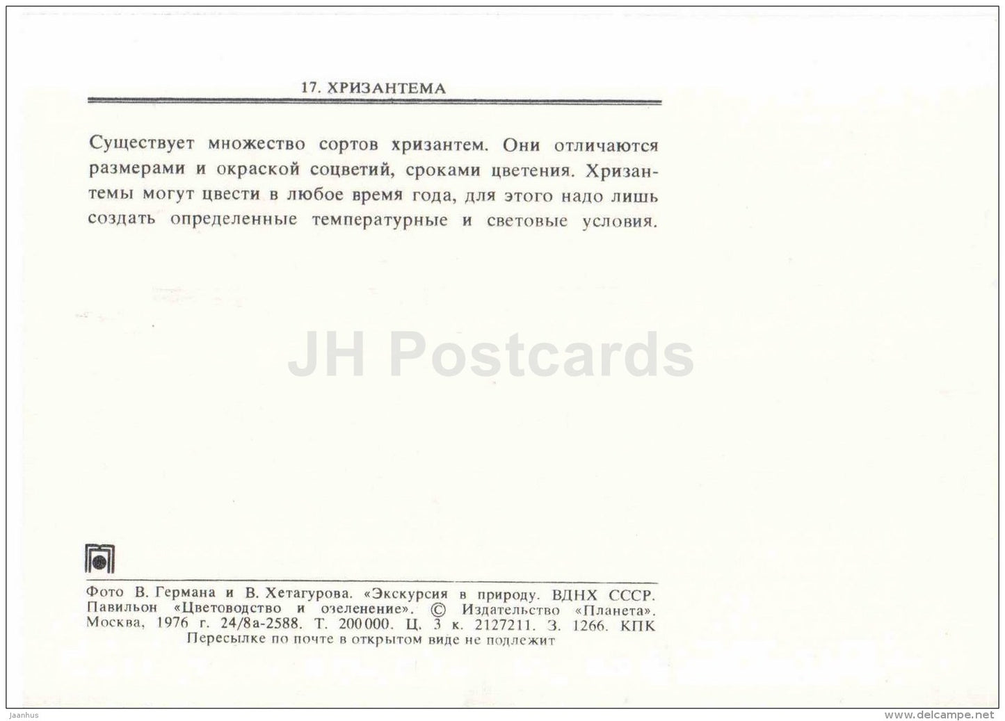 Chrysantemum - flowers - floriculture and gardening pavilion - 1976 - Russia USSR - unused - JH Postcards