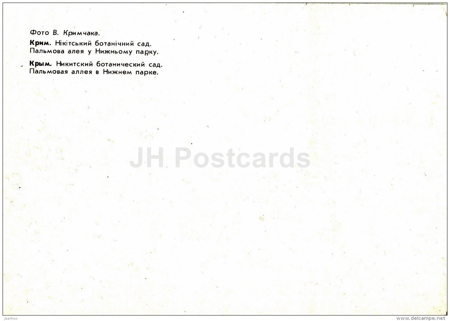 Palm Alley in the Lower Park - Nikitsky Botanical Garden - 1991 - Ukraine USSR - unused - JH Postcards