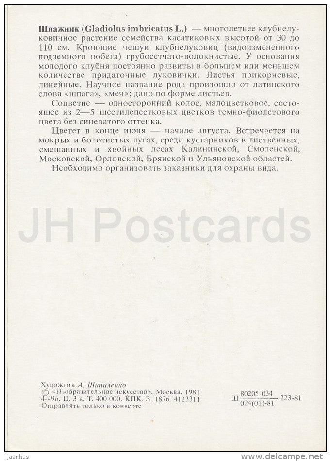 Turkish marsh gladiolus - Gladiolus imbricatus - Plants under protection - 1981 - Russia USSR - unused - JH Postcards