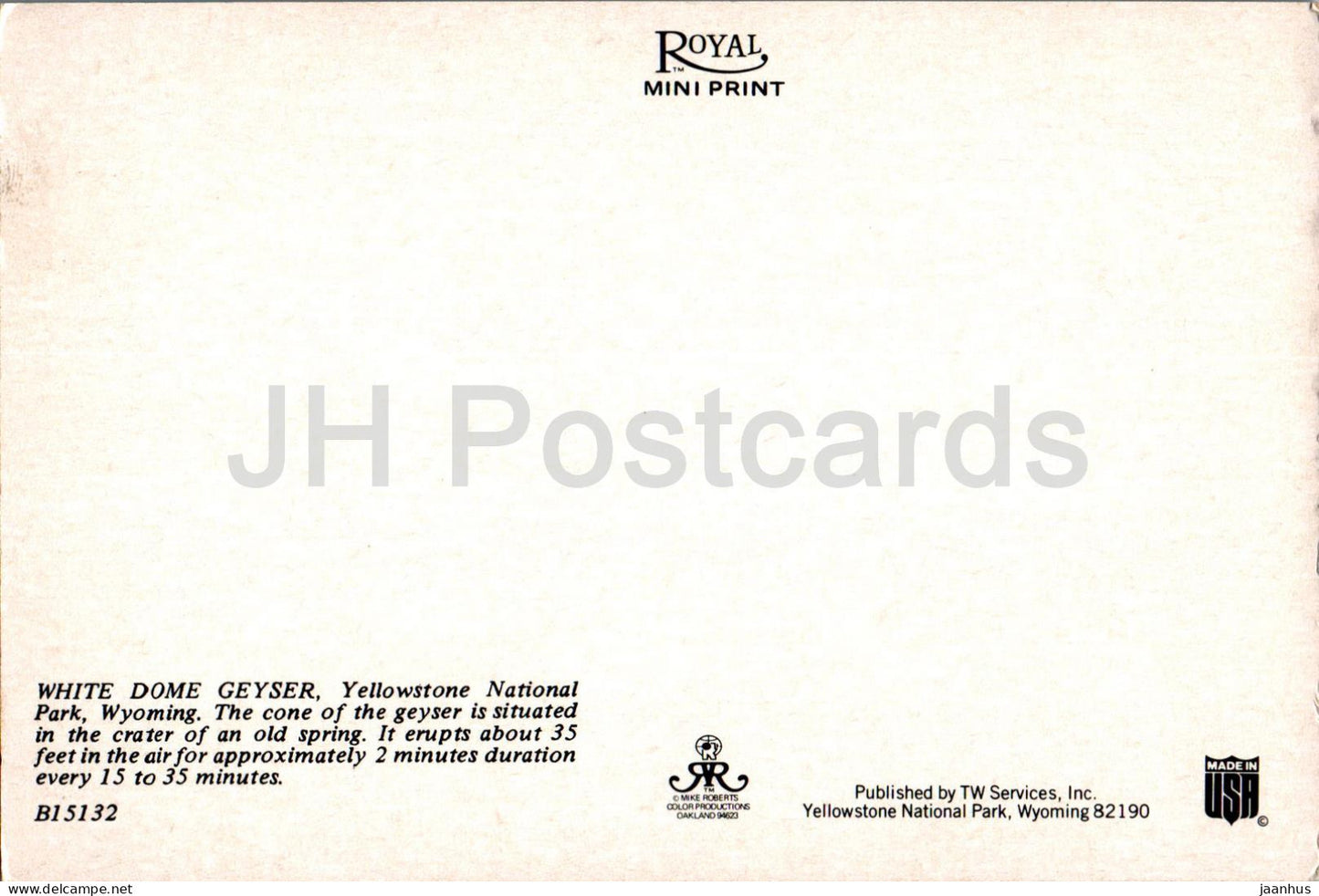 Parc national de Yellowstone - White Dome Geyser - B15132 - États-Unis - inutilisé