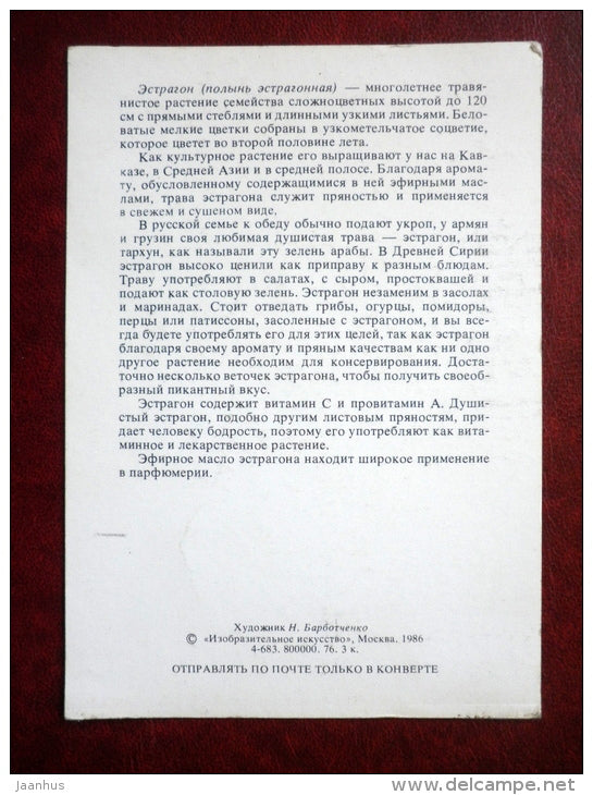Tarragon - Artemisia dracunculus - by. N. Barbotchenko - plants - 1986 - Russia USSR - unused - JH Postcards