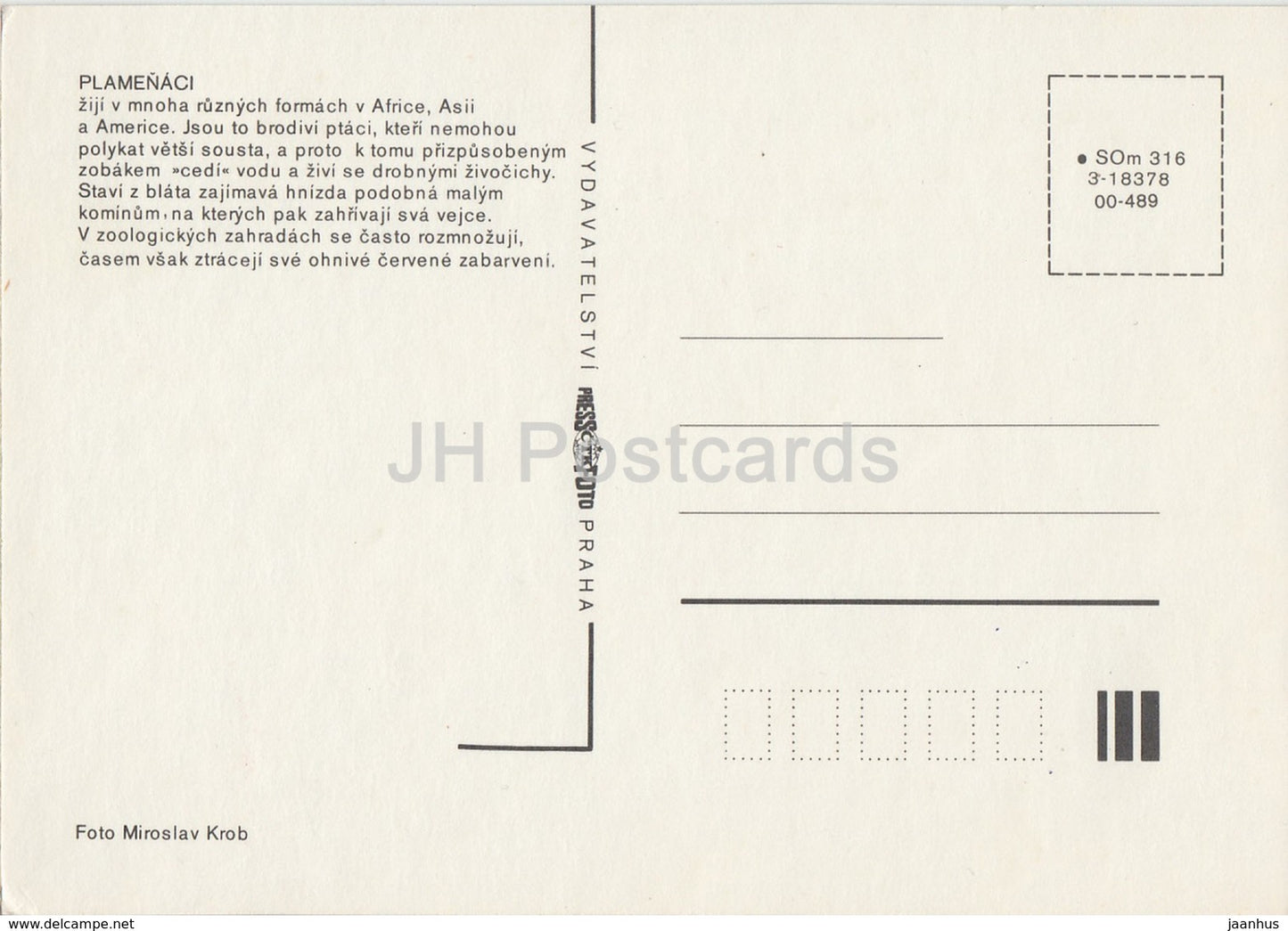 Flamingo - zoo - birds - Czech Republic - Czechoslovakia - unused - JH Postcards