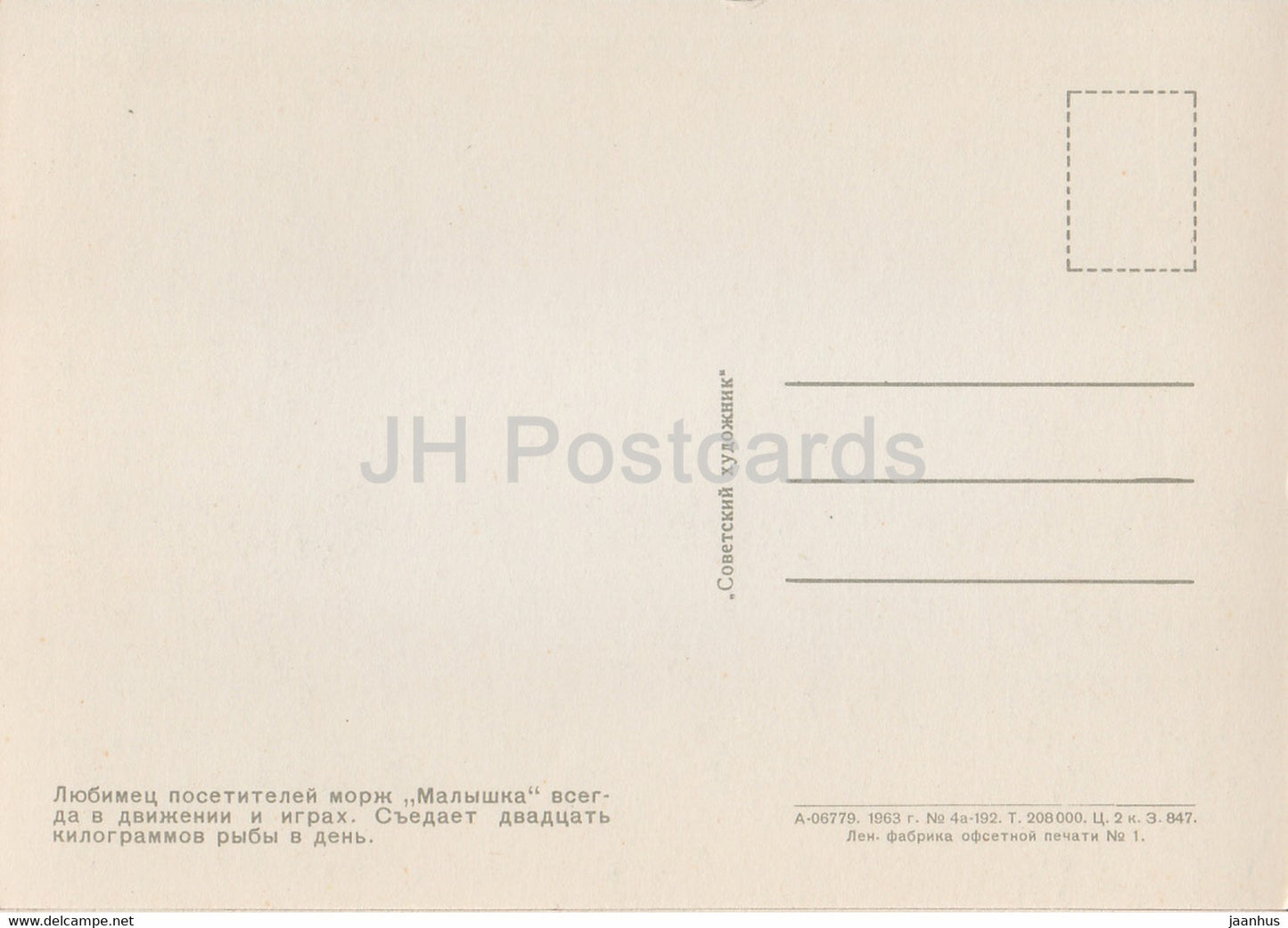 Walross - Odobenus rosmarus - Moskauer Zoo - 1963 - Russland UdSSR - unbenutzt