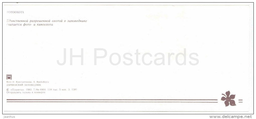 Hedgehog - Cranberry - Lizard - photography - camera - Darwin Nature Reserve - 1983 - Russia USSR - unused - JH Postcards