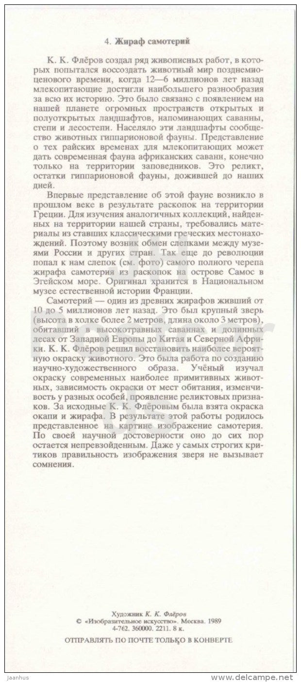 Samotherium boissieri - fossil - skull - illustration by Flerov - paleontology - 1989 - Russia USSR - unused - JH Postcards