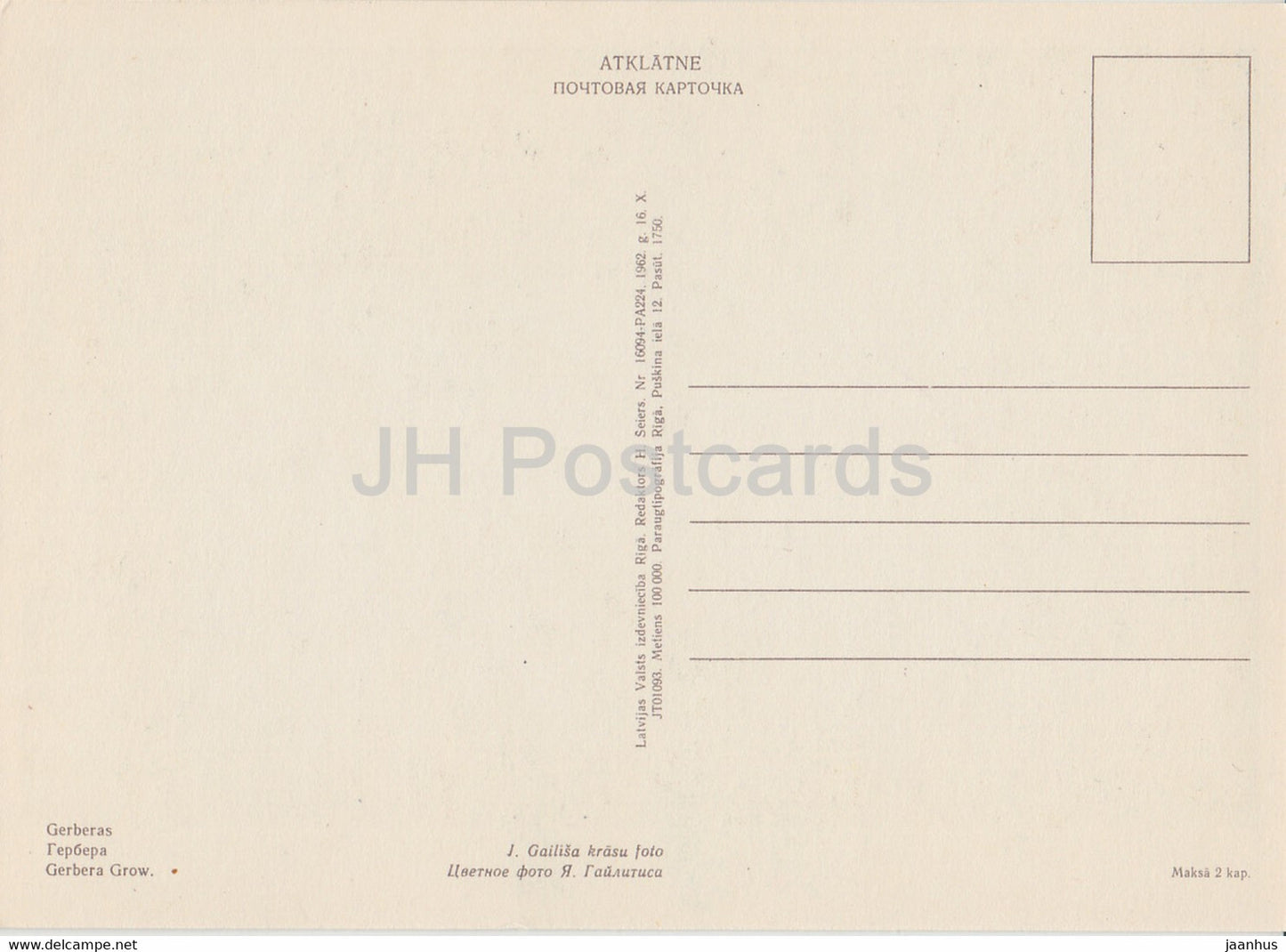 Gerbera - Blumen - Pflanzen - 1962 - Lettland UdSSR - unbenutzt