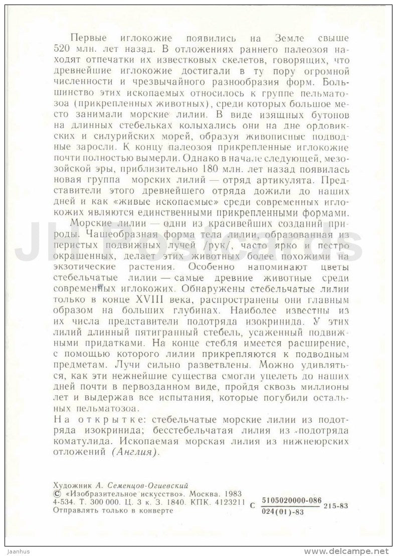 echinoderms - sea lily - plants - Protected Animals and Plants - 1983 - Russia USSR - unused - JH Postcards