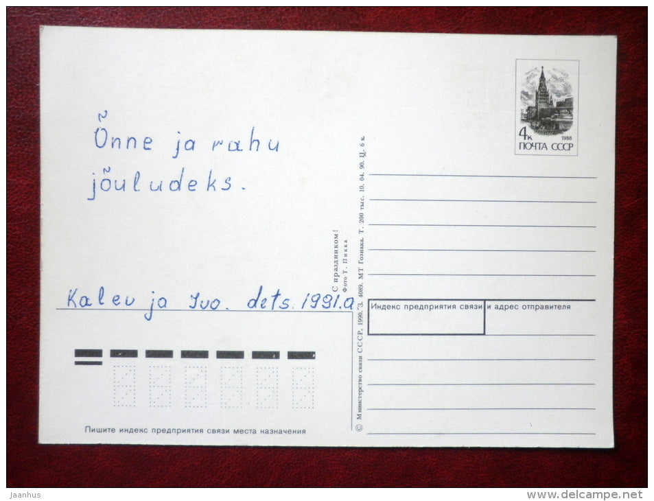 New Year Greeting card - cones - nuts - 1990 - Estonia USSR - used - JH Postcards