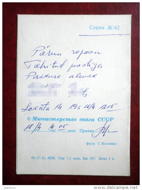 telegram - c pink arnation - flowers - 1981 - Russia USSR - used - JH Postcards