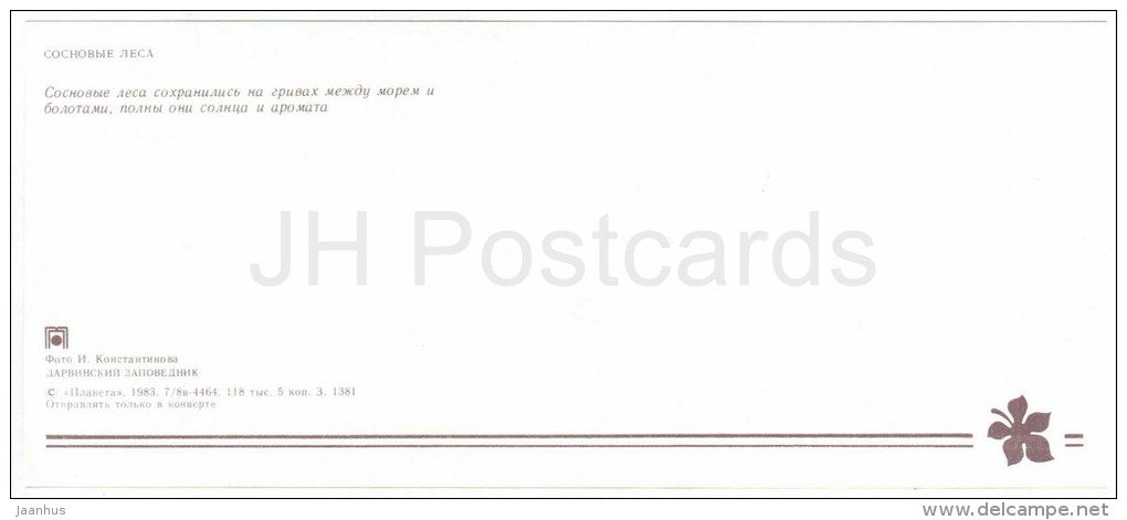 Blueberry - Cowberry - berries - forest - Darwin Nature Reserve - 1983 - Russia USSR - unused - JH Postcards