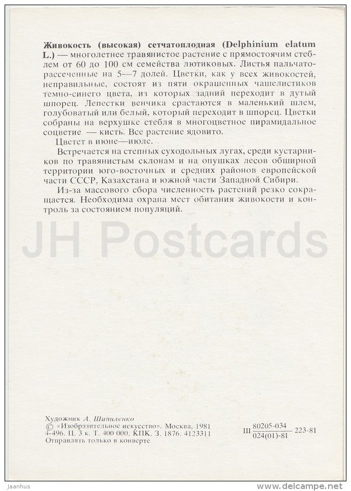 alpine delphinium - Delphinium elatum - Plants under protection - 1981 - Russia USSR - unused - JH Postcards