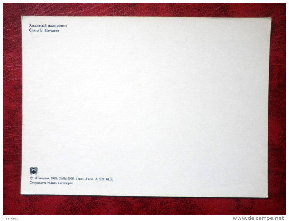 Crested Lark - Galerida cristata - birds - 1982 - Russia - USSR - unused - JH Postcards