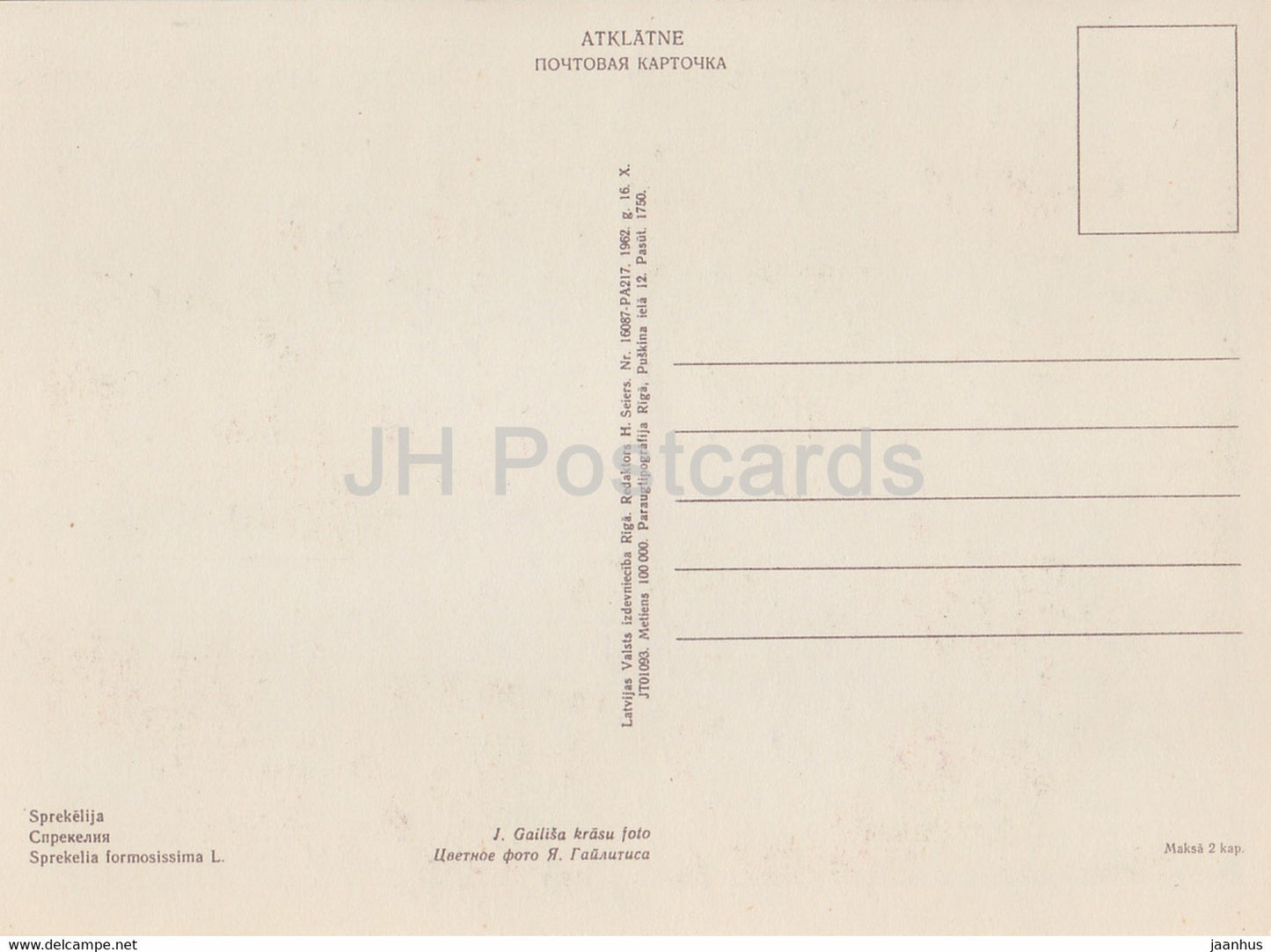 Sprekelia - Sprekelia formosissima - fleurs - plantes - 1962 - Lettonie URSS - inutilisé
