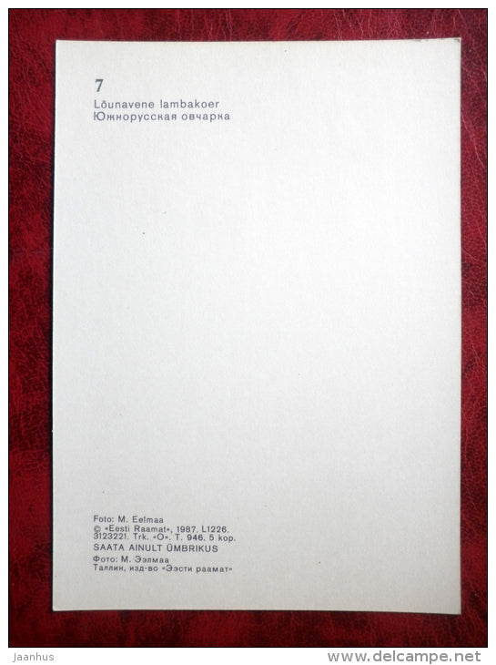 South Russian Ovcharka - South Russian Sheepdog - dogs - 1987 - Estonia - USSR - unused - JH Postcards