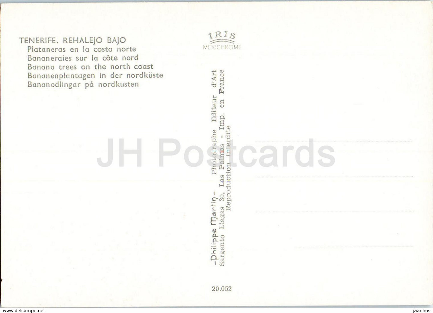 Tenerife - Rehalejo Bajo - Plataneras en la costa norte - Bananiers sur la côte nord - Espagne - inutilisé