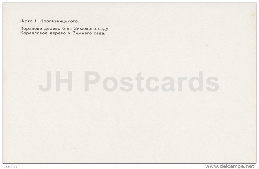 Coral tree in Winter Garden - Alupka Palace Museum - Crimea - 1989 - Ukraine USSR - unused - JH Postcards