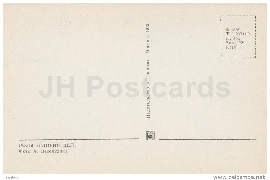 rose Gloria Dei - flowers - 1972 - Russia USSR - unused - JH Postcards