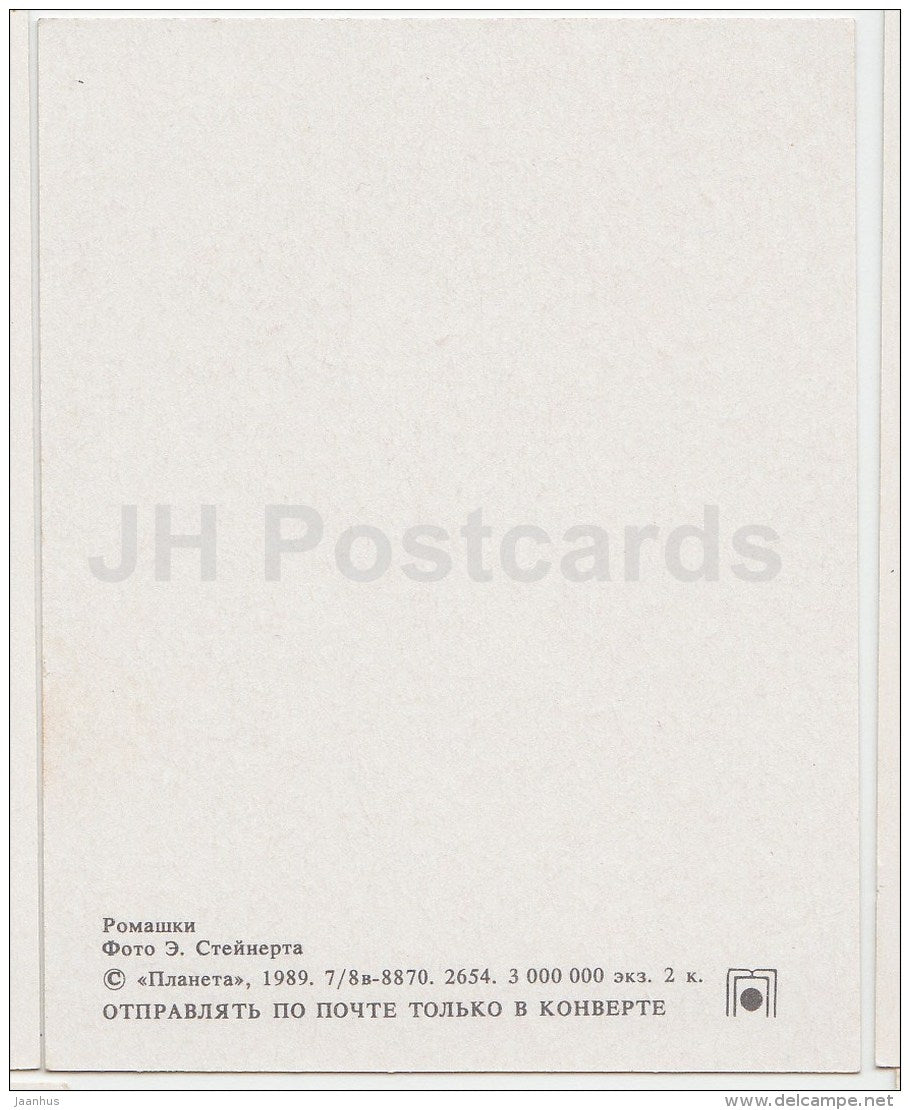 mini Birthday greeting card - daisy - 1989 - Russia USSR - unused - JH Postcards