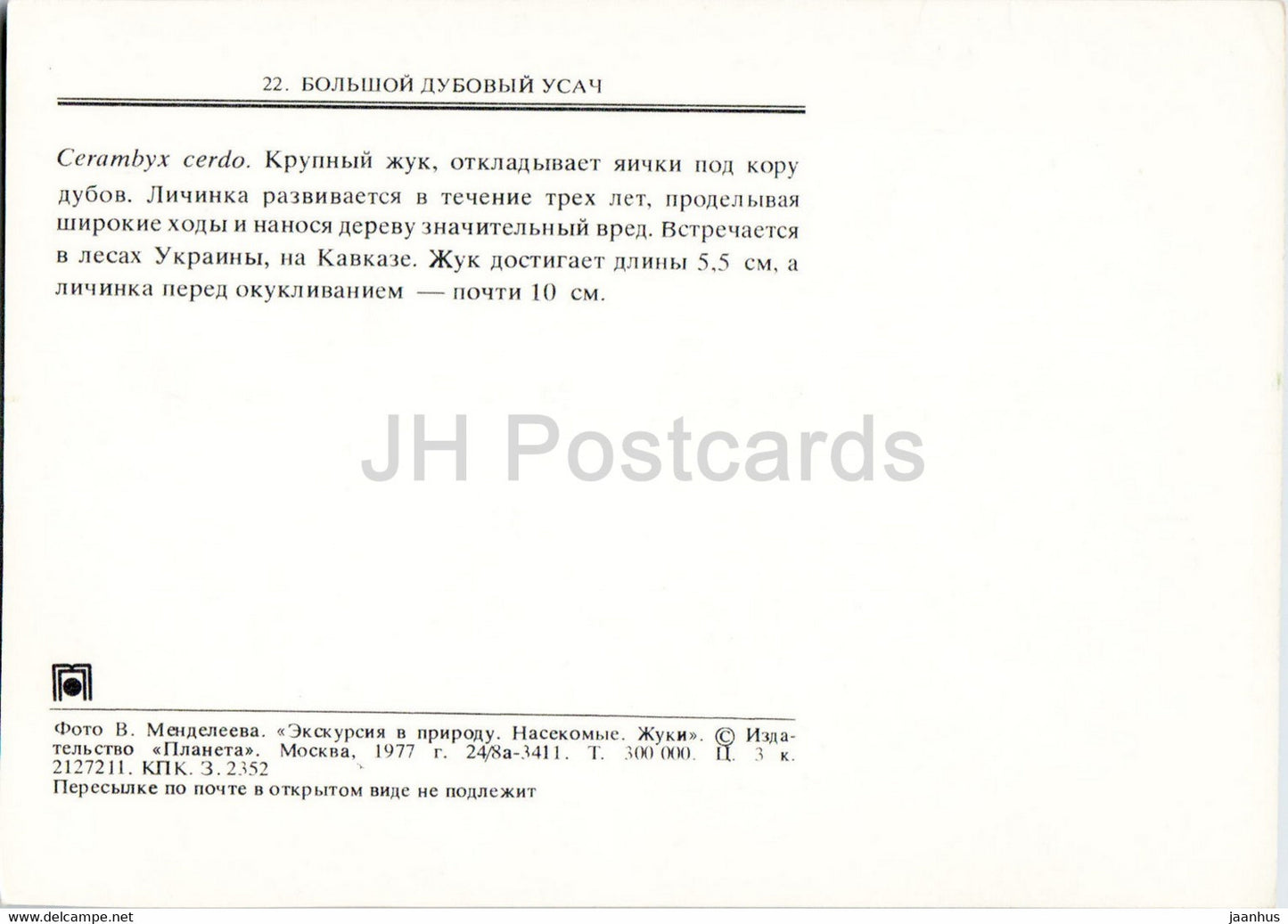 Great capricorn beetle - Cerambyx cerdo - insects - 1977 - Russia USSR - unused