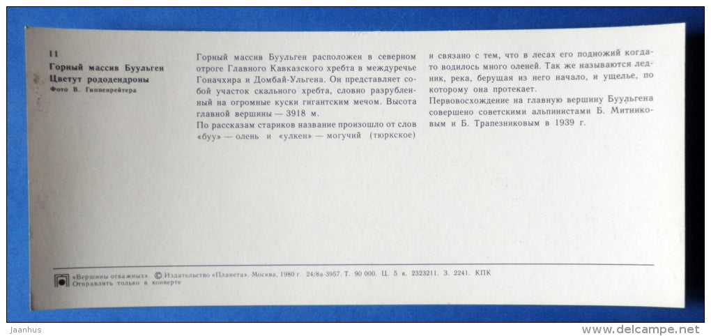 Bulgen massif - rhododendron - flowers - Caucasus - Mountaneering - alpinism - 1980 - Russia USSR - unused - JH Postcards
