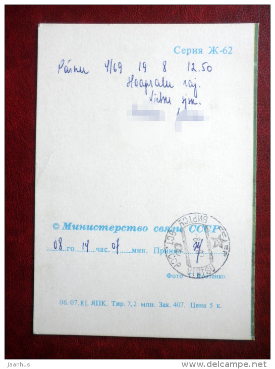 telegram - pink carnation - flowers 1 - 1981 - Russia USSR - used - JH Postcards