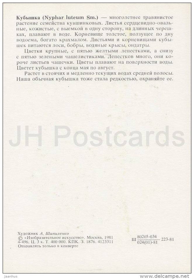 Yellow Water-lily - Nuphar lutea - Plants under protection - 1981 - Russia USSR - unused - JH Postcards