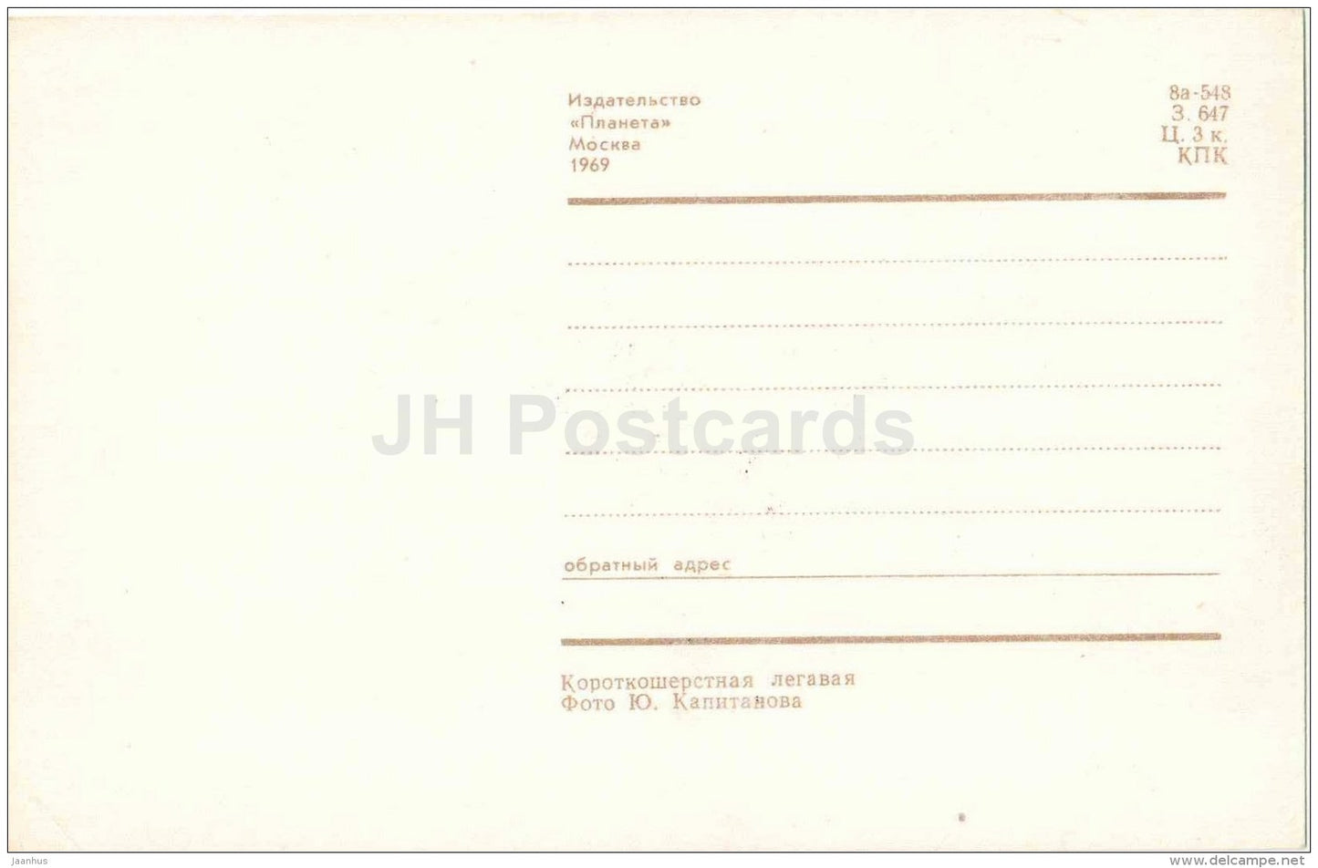 Shorthaired Pointer - dog - 1969 - Russia USSR - unused - JH Postcards