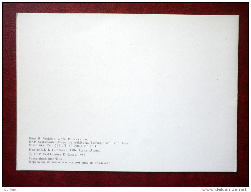 New Year Greeting card - candle - decorations - fir tree - 1984 - Estonia USSR - used - JH Postcards