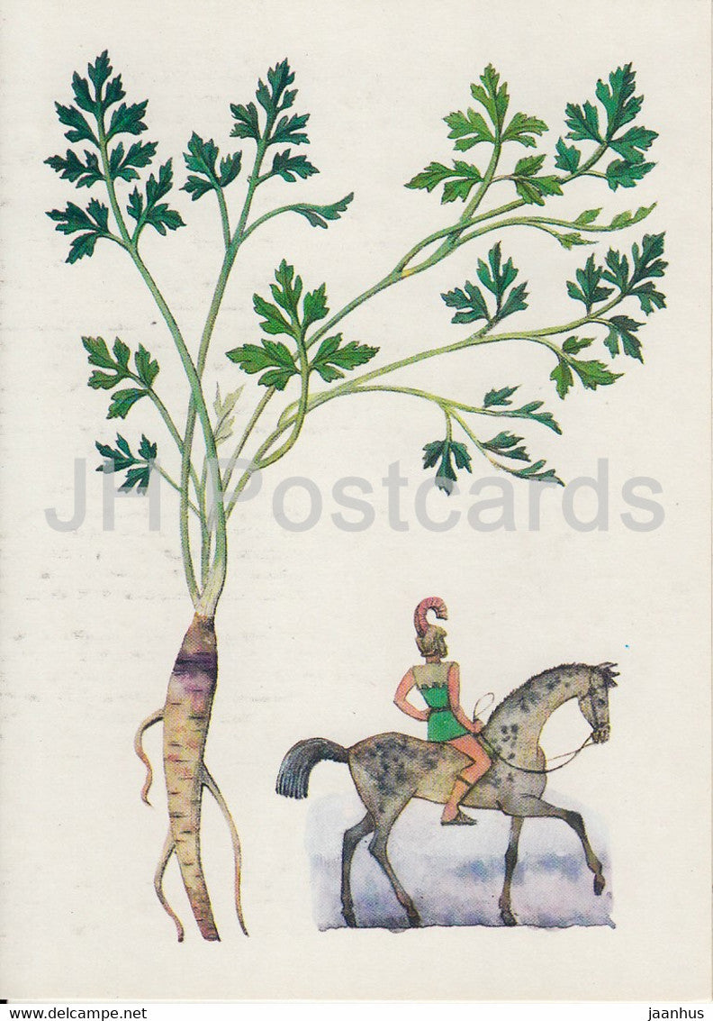 Parsley - Spice Plants - 1986 - Russia USSR - unused - JH Postcards