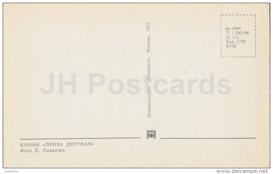 canna Luisa Dittman - flowers - 1972 - Russia USSR - unused - JH Postcards