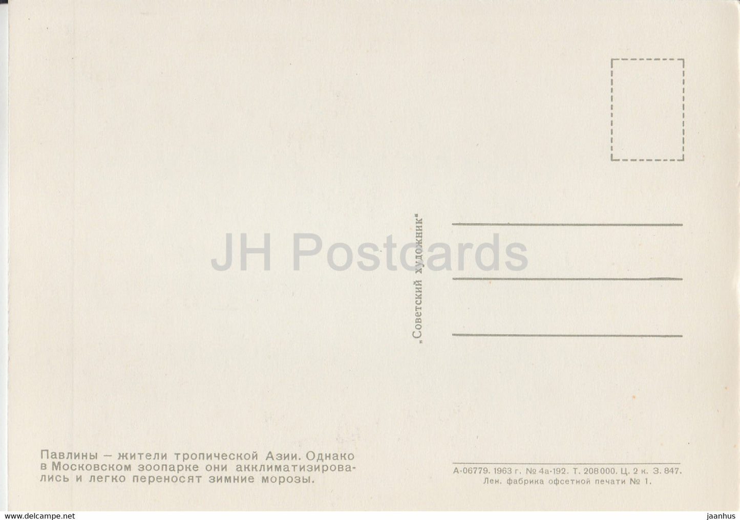 Peacock - Peafowl - birds - Moscow Zoo - 1963 - Russia USSR - unused