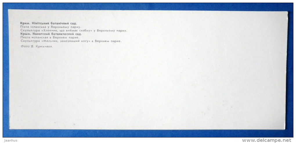 Spanish Fir in Upper Park , Abies pinsapo in - tree - sculpture Nikitsky Botanical Garden - 1981 - Ukraine USSR - unused - JH Postcards