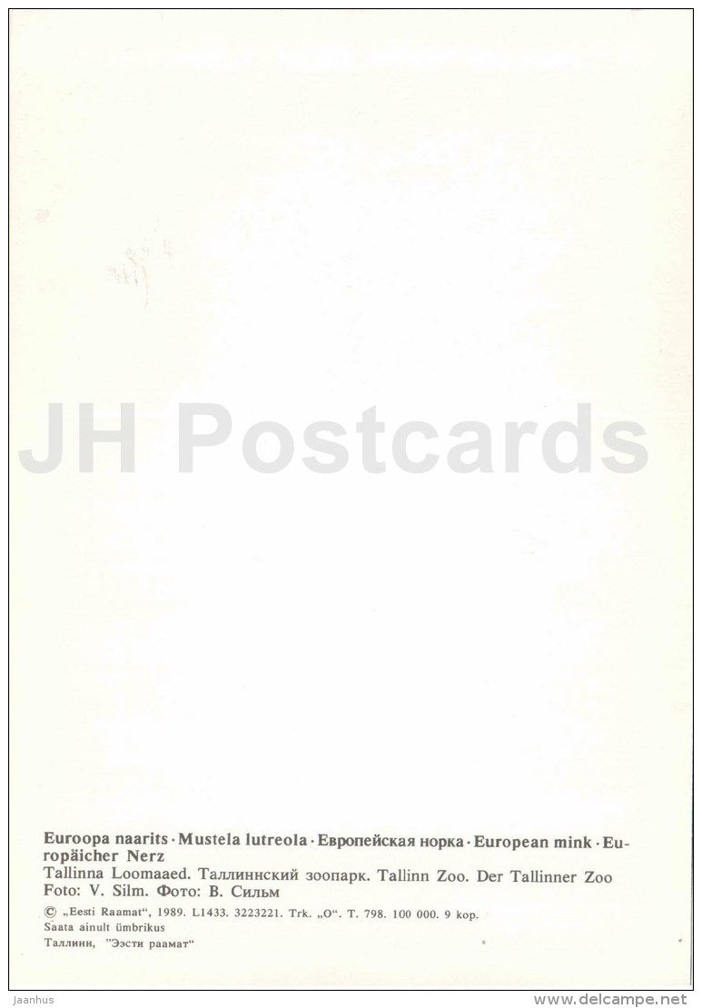 European mink - Mustela lutreola - large format card - Tallinn Zoo 50 - 1989 - Estonia USSR - unused - JH Postcards