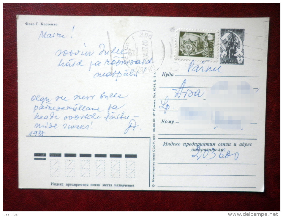 Greeting Card - daisies - flower basket - flowers - 1981 - Russia USSR - used - JH Postcards